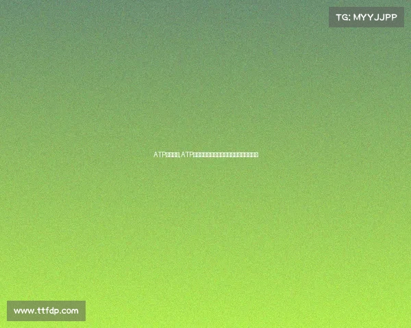 ATP赛事主办,ATP网球赛事主办核心战略与管理优化实践研究