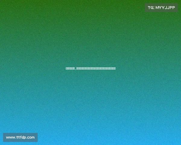 中国赛艇视频_中国赛艇赛事预算全方位规划与财务管理优化策略研究分析